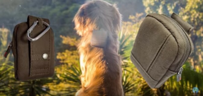 картинка собака с лечебным прибором Life-Animal, чехол и карабин