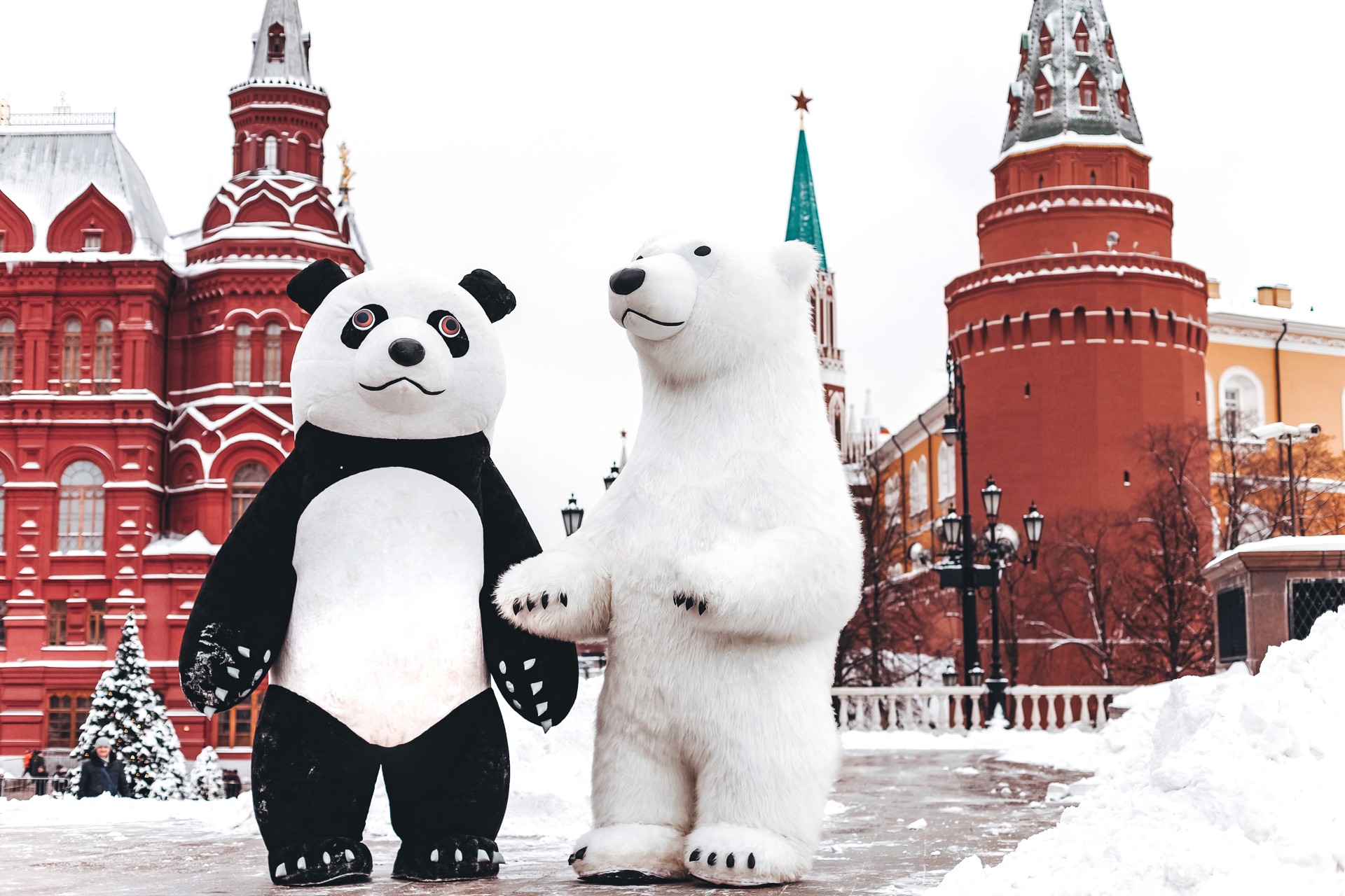 Мишка и панда на Красной площади делают фото