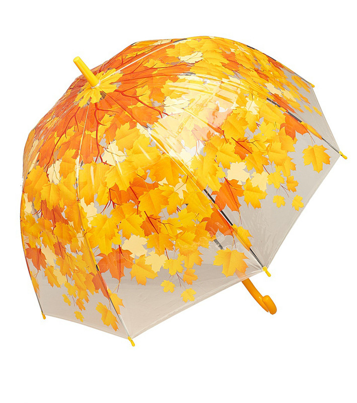 купить прикольный зонт, зонт желтые листья, интересные зоны, необычный зонт купить в Москва, прозрачный зонт в Синий еж