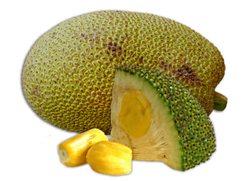 фрукт из таиланда джекфрут